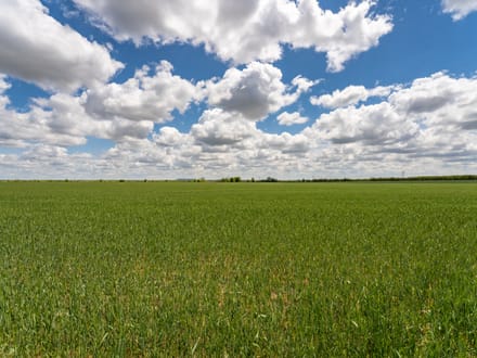 8.85 Acres in Coleman County