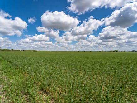 8.85 Acres in Coleman County