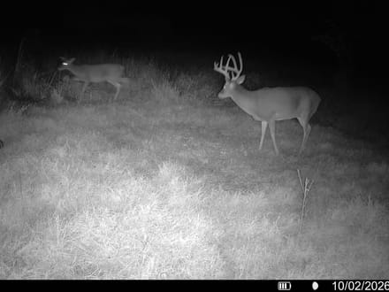 Multi-Use Quarter in Chautauqua County, KS!