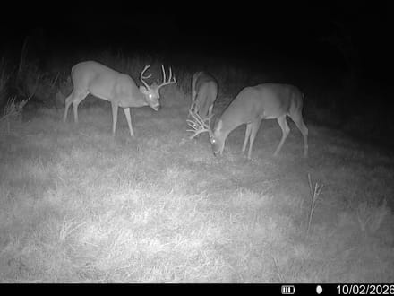 Multi-Use Quarter in Chautauqua County, KS!