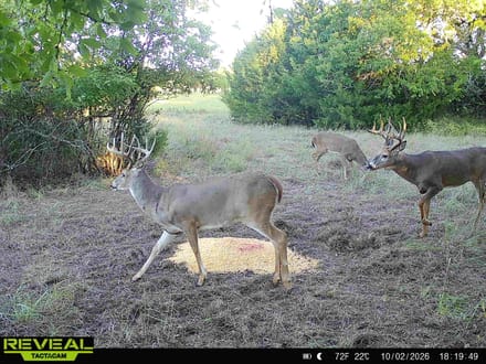 Cowley County Tillable, Hunting, and Hay 