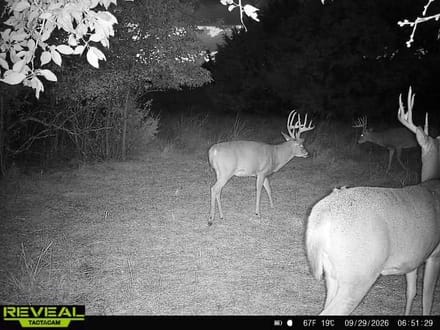 Cowley County Tillable, Hunting, and Hay 
