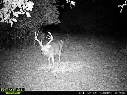 Cowley County Tillable, Hunting, and Hay 