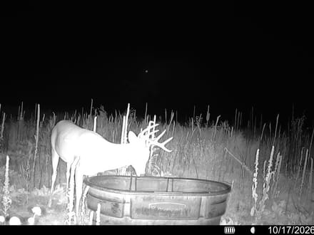 160 Acres - CRP - Elbert County, CO