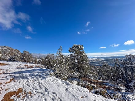 11± Acres Land for Sale in Crawford Colorado | Borders BLM, Well, North Fork Valley Views, No HOA