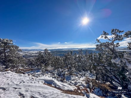 11± Acres Land for Sale in Crawford Colorado | Borders BLM, Well, North Fork Valley Views, No HOA