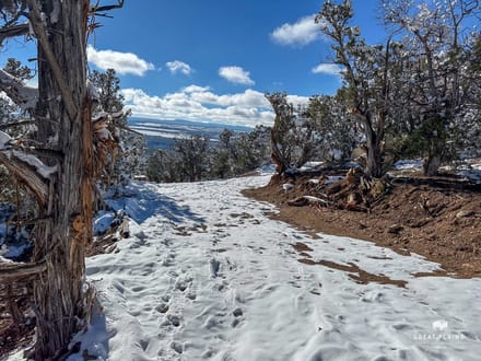 11± Acres Land for Sale in Crawford Colorado | Borders BLM, Well, North Fork Valley Views, No HOA