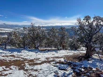 11± Acres Land for Sale in Crawford Colorado | Borders BLM, Well, North Fork Valley Views, No HOA