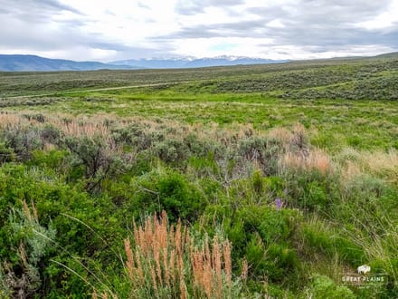 40± Acres Colorado Mountain Land for Sale Near Vail & Beaver Creek | Well, Spring, 200K Acres BLM Nearby