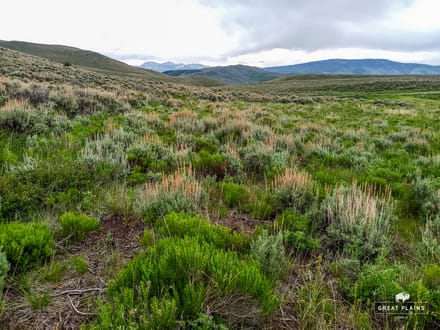 40± Acres Colorado Mountain Land for Sale Near Vail & Beaver Creek | Well, Spring, 200K Acres BLM Nearby