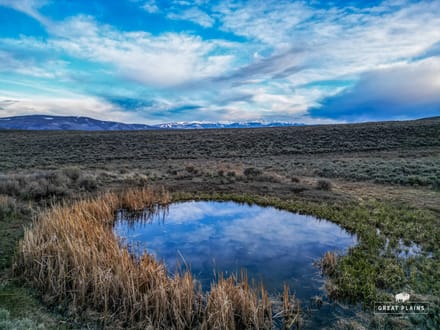 40± Acres Colorado Mountain Land for Sale Near Vail & Beaver Creek | Well, Spring, 200K Acres BLM Nearby