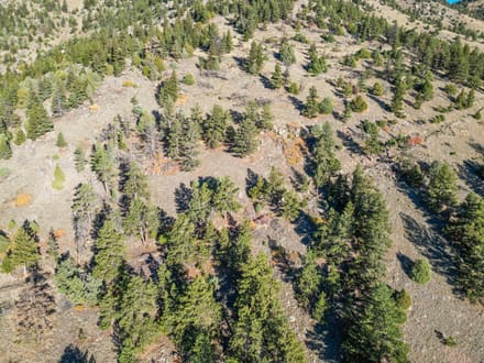  43 Acres - Boulder County, CO