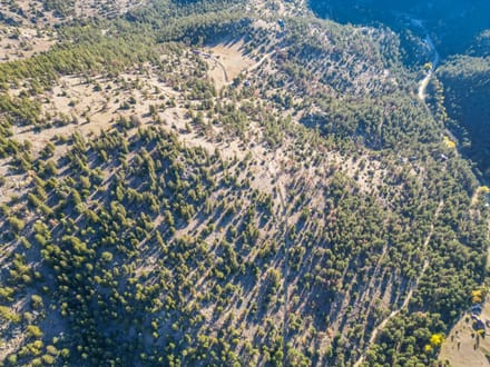  43 Acres - Boulder County, CO