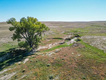 106± Acres with Mineral Rights on Highway 71 | Weld County, CO