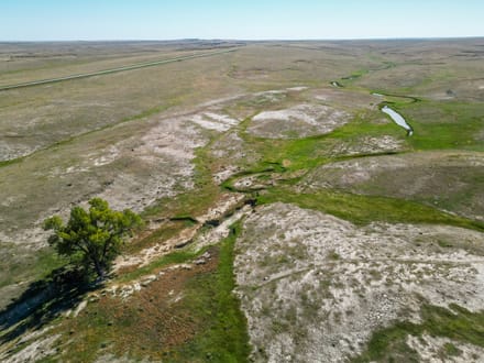 106± Acres with Mineral Rights on Highway 71 | Weld County, CO