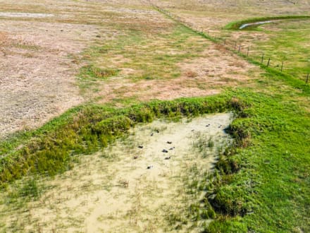 106± Acres with Mineral Rights on Highway 71 | Weld County, CO