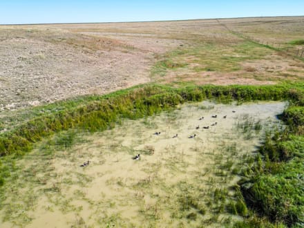 106± Acres with Mineral Rights on Highway 71 | Weld County, CO