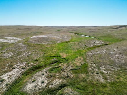 106± Acres with Mineral Rights on Highway 71 | Weld County, CO