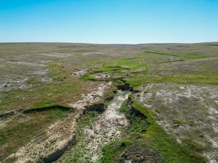 106± Acres with Mineral Rights on Highway 71 | Weld County, CO