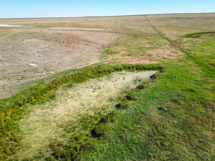 106± Acres with Mineral Rights on Highway 71 | Weld County, CO