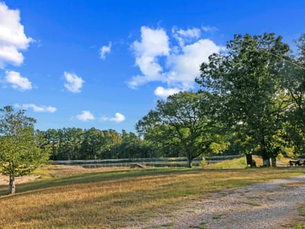 The Ellis Road 265