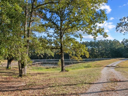 The Ellis Road 265