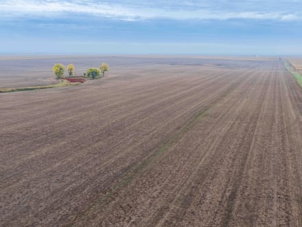 Potter County, SD 320 Acres
