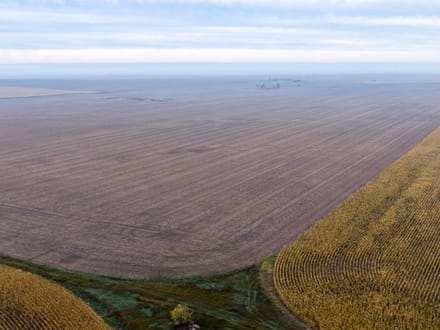 Potter County, SD 320 Acres