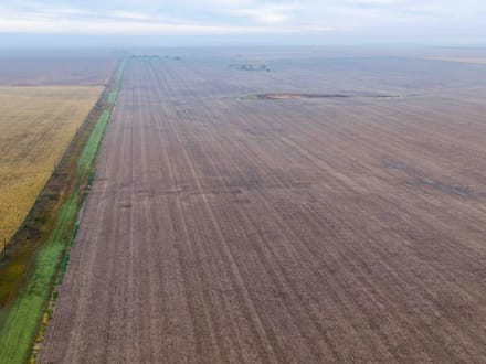 Potter County, SD 320 Acres