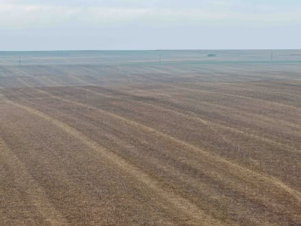 Potter County, SD 320 Acres