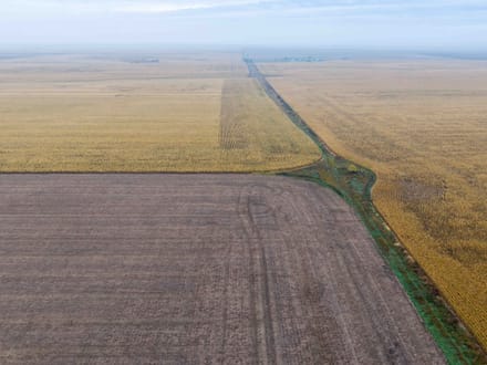 Potter County, SD 320 Acres