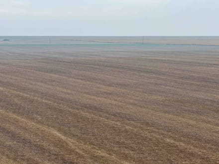 Potter County, SD 320 Acres