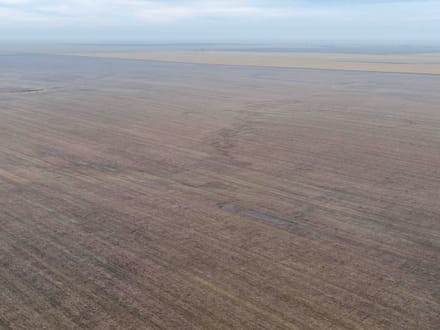 Potter County, SD 320 Acres