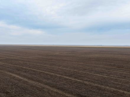 Potter County, SD 320 Acres