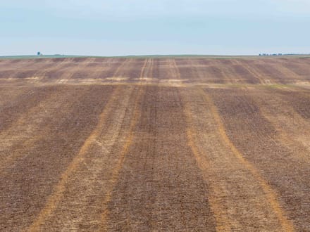 Potter County, SD 480 Acres