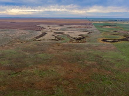 Potter County, SD 480 Acres