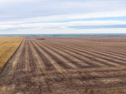Potter County, SD 480 Acres