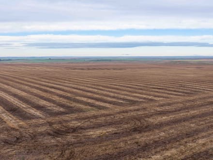 Potter County, SD 480 Acres