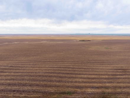 Potter County, SD 480 Acres
