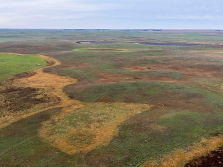Potter County, SD 480 Acres