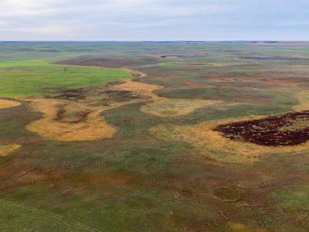 Potter County, SD 480 Acres