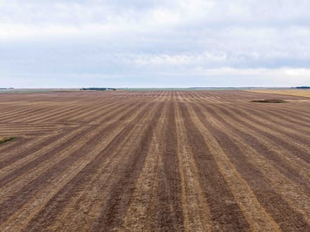 Potter County, SD 480 Acres