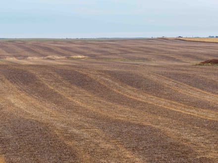 Potter County, SD 480 Acres