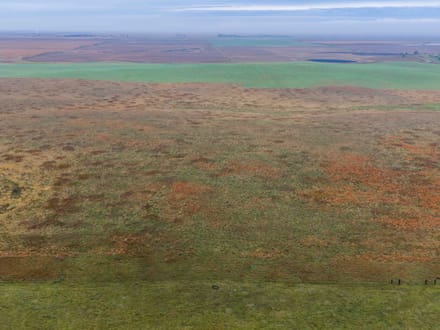 Potter County, SD 160 Acres