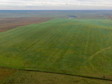 Potter County, SD 160 Acres