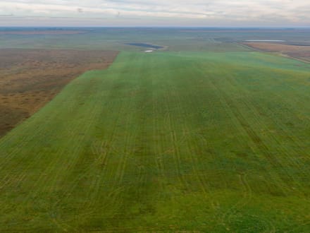 Potter County, SD 160 Acres