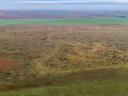 Potter County, SD 160 Acres