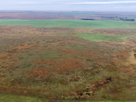 Potter County, SD 160 Acres
