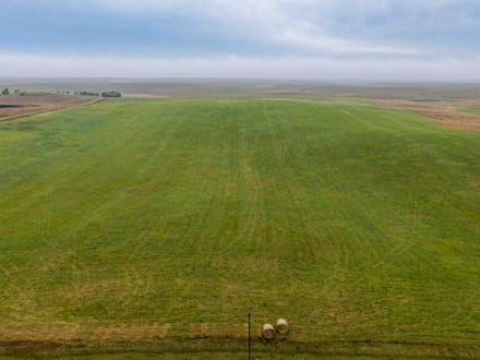 Potter County, SD 160 Acres
