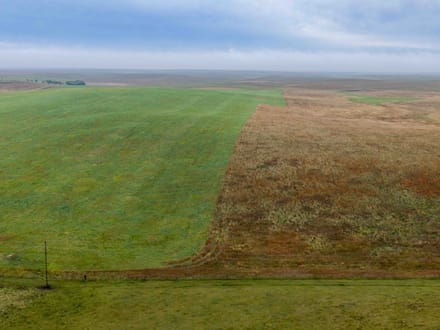 Potter County, SD 160 Acres